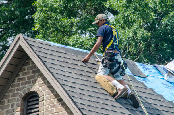 Best Roof Gutter Cleaning  in Frazer, PA